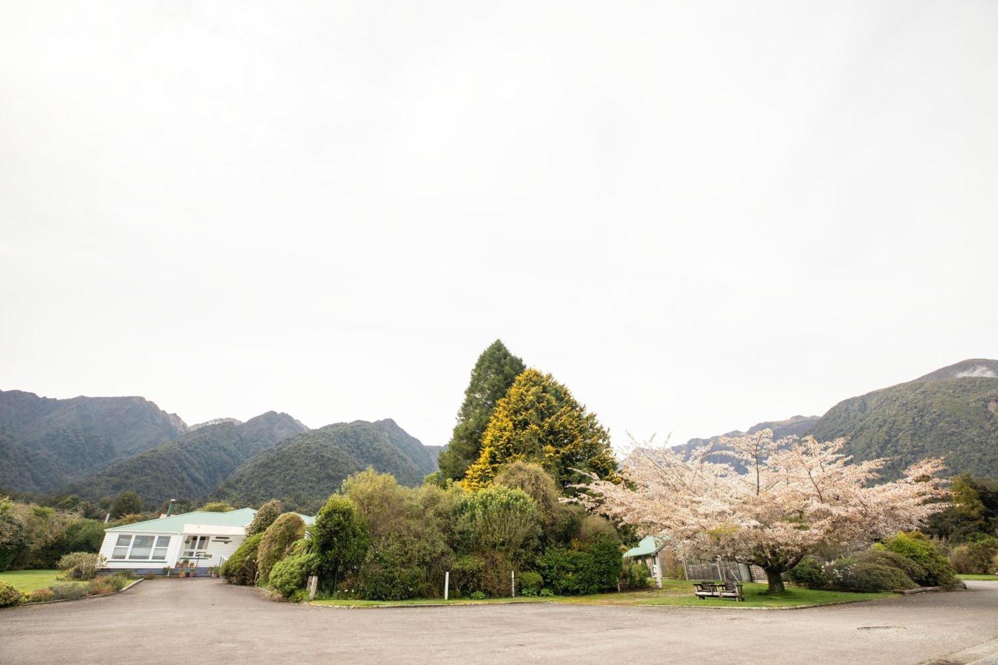 Rainforest Motel Fox Glacier Luaran gambar