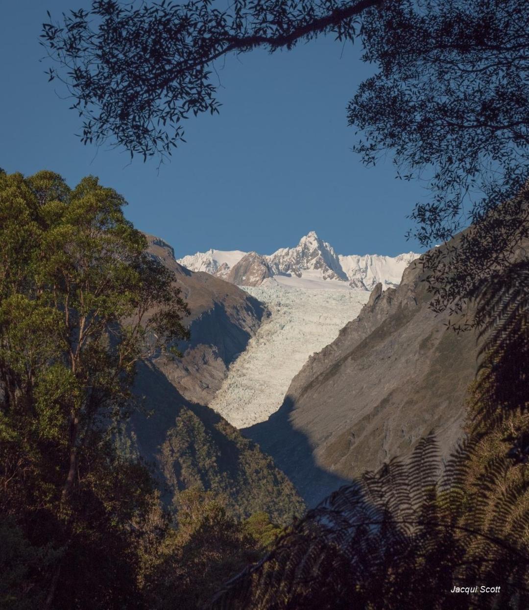 Rainforest Motel Fox Glacier Luaran gambar