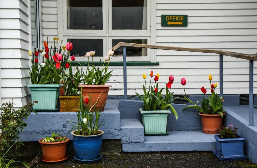 Rainforest Motel Fox Glacier Luaran gambar